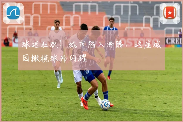 球迷狂欢！城市陷入沸腾，这座城因橄榄球而闪耀