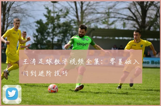 王涛足球教学视频全集：零基础入门到进阶技巧